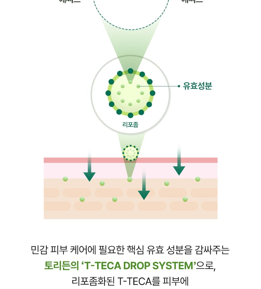 Torriden Balanceful Centella Sheet Mask