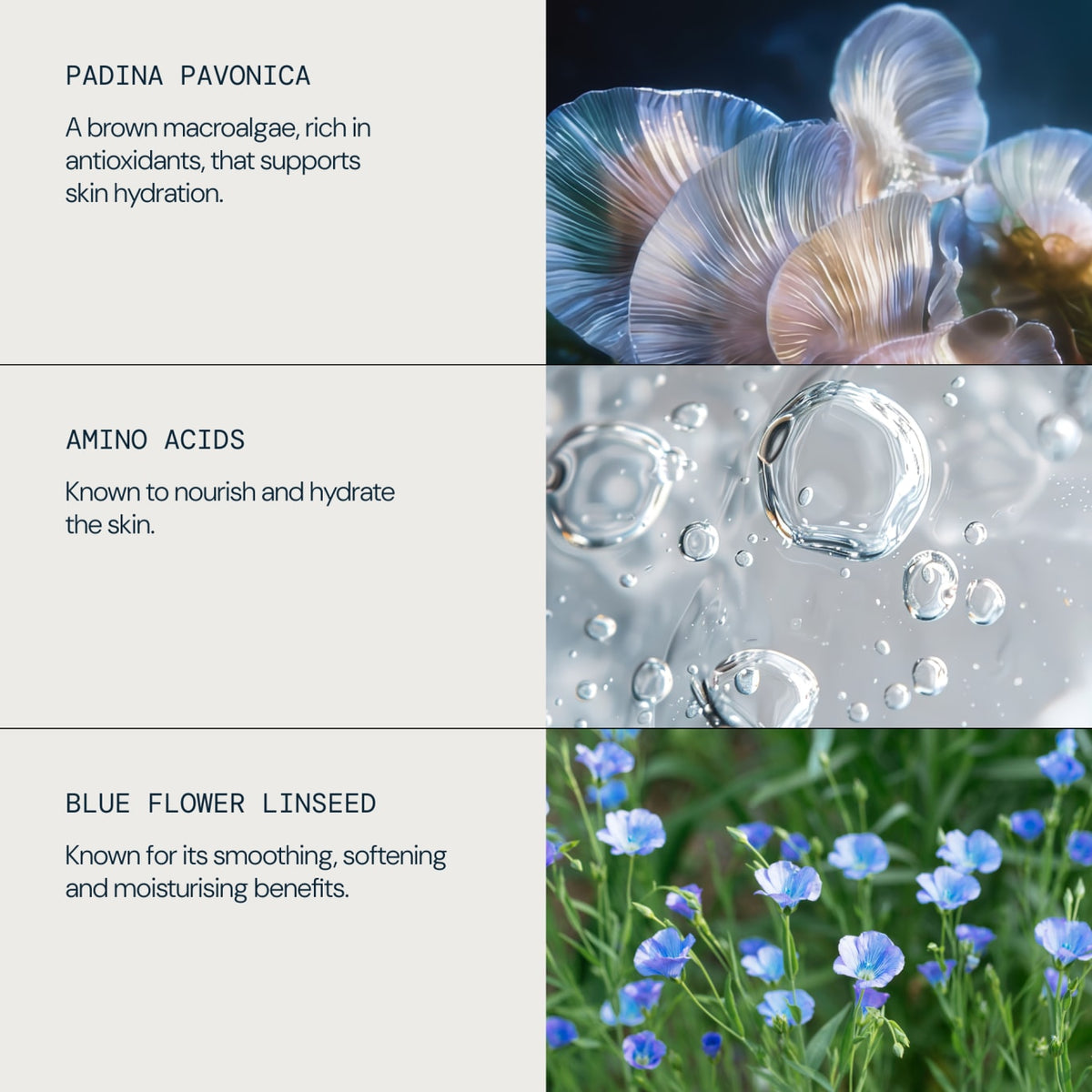 Elemis Peptide⁴ Pro-Collagen Firming Eye Serum