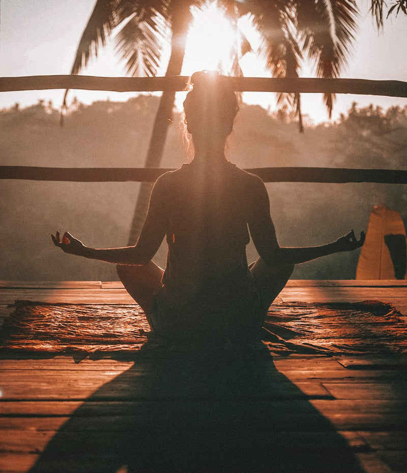 Wellness & Lifestyle